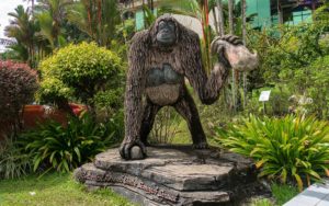 Statue eines Orang-Utan mit der Aufschrift Botanical Research Centre Semenggho Sarawk vor einem tropischen Garten.