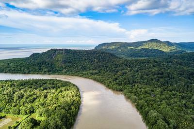 Ein brauner Fluss zieht sich durch grüne Bäume eines Regenwaldes vor dem Meer in unberührter Wildnis.
